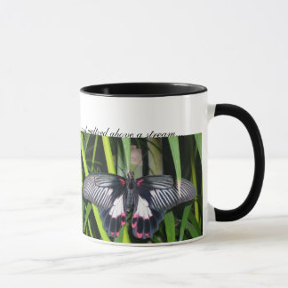 Mug les papillons, deux papillons sont allés OU…