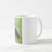 Mug les petits de Rottweiler. (Devant droit)