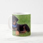 Mug les petits de Rottweiler. (Devant gauche)