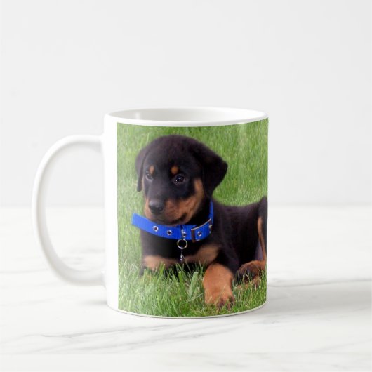 Mug les petits de Rottweiler. (Gauche)