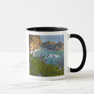 Mug Les Scenic McWay Falls se jettent sur la plage et