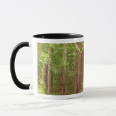 Mug Les séquoias au monument national de Muir Woods (Gauche)