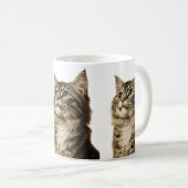 Mug Les trésors tabby de Dürer 3 (Devant droit)
