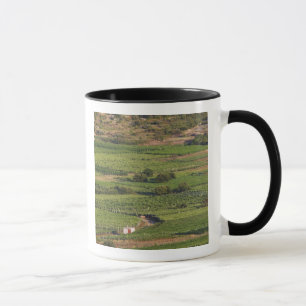 Mug Les vignobles de Smokvica sur Korcula de la Toreta
