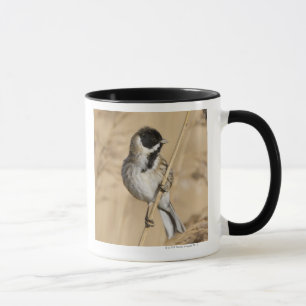 Mug L'étamine tubulaire (schoeniclus d'Emberiza) éta