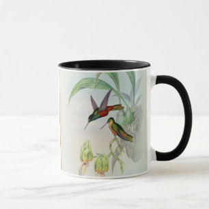 Mug L'étoile de Bonaparte a affronté le colibri