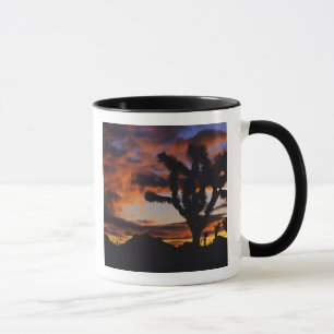 Mug Lever du soleil spectaculaire à Joshua Tree Natio