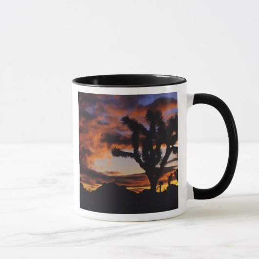 Mug Lever du soleil spectaculaire à Joshua Tree Nation (Droite)