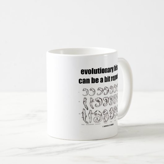 Mug l'histoire évolutionnaire peut être un peu (Devant droit)