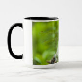 Mug libellule (Gauche)