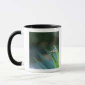 Mug Libellule (Gauche)