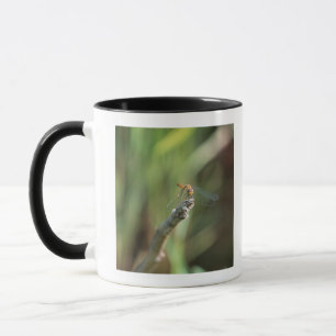 Mug Libellule 5