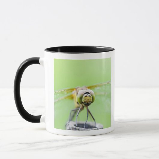 Mug Libellule (infuscatum de Sympetrum) (Gauche)