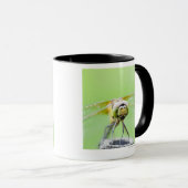 Mug Libellule (infuscatum de Sympetrum) (Devant droit)