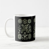 Mug Lichens (Gauche)