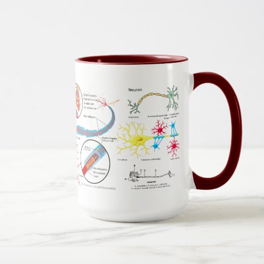 Mug "Lien de neurone ? " (Droite)