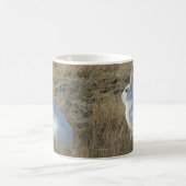 Mug Lièvre d'Amérique R25 (Centre)