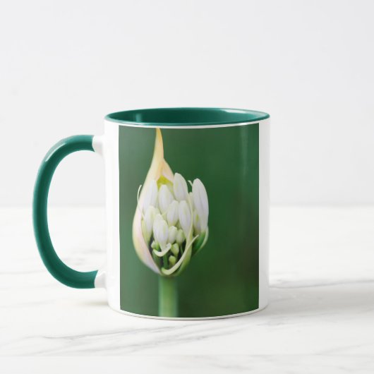 Mug Lily africaine, Praecox d'Agapanthus, Cap (Gauche)
