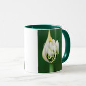Mug Lily africaine, Praecox d'Agapanthus, Cap (Devant droit)