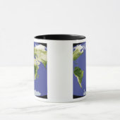 Mug L'Indice de Végétation De Différence Normalisée (Centre)