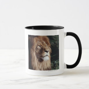 Mug lion
