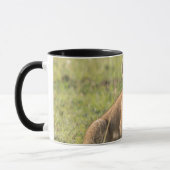 Mug Lion Cub Personnaliser Nom Black Interior Cadeau (Gauche)