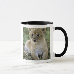Mug Lion d'Afrique, Panthera leo), Tanzanie,