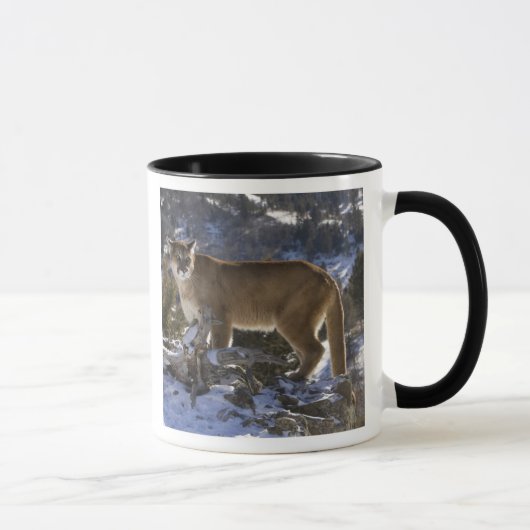 Mug Lion de montagne (Droite)