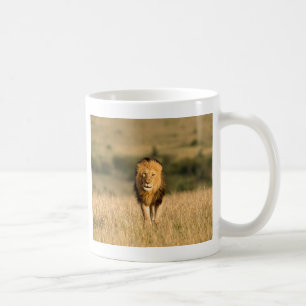 Mug Lion mâle marchant