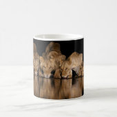 Mug Lion Pride Drinks at the Water Hole at Night (Centre)