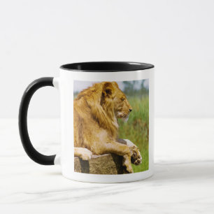 Mug Lion se trouvant sur une roche