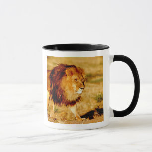 Mug Lion solitaire