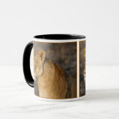 Mug Lion sud-africain (Devant gauche)