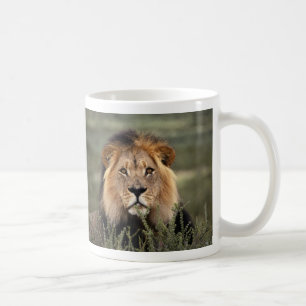 Mug Lion vigilant