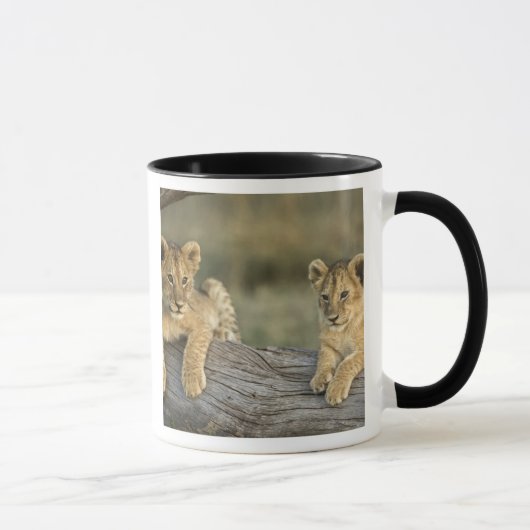 Mug Lionceaux sur une bûche (Droite)