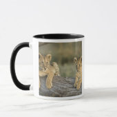 Mug Lionceaux sur une bûche (Gauche)