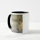 Mug Lionceaux sur une bûche (Devant gauche)