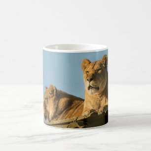 Mug Lionesses