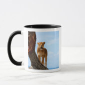 Mug Lionne (Gauche)