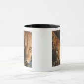 Mug Lionne et CUB (Panthera Lion) (Centre)