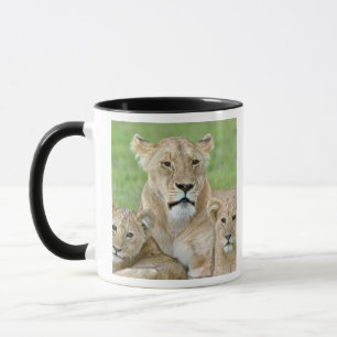 Mug Lionne et deux petits, Afrique de l'Est, Tanzanie,