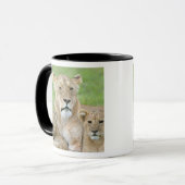 Mug Lionne et deux petits, Afrique de l'Est, Tanzanie, (Devant gauche)
