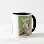 Mug Lionne et deux petits, Afrique de l'Est, Tanzanie, (Devant droit)