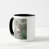 Mug Lionne (Panthera Lion) et petits animaux, masais (Devant gauche)
