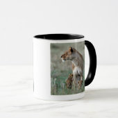 Mug Lionne (Panthera Lion) et petits animaux, masais (Devant droit)
