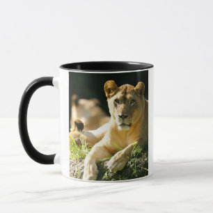 Mug Lions