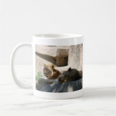 Mug Lions africaines (Gauche)