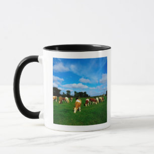 Mug L'Irlande, troupeau de pâturage de bétail