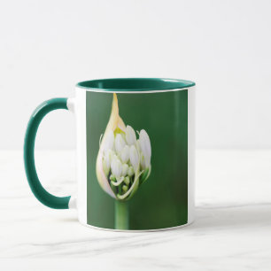 Mug Lis d'Afrique, Agapanthus Praecox, Cape Town