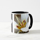 Mug Lis de Sego (Devant droit)